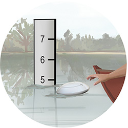 feature image 1